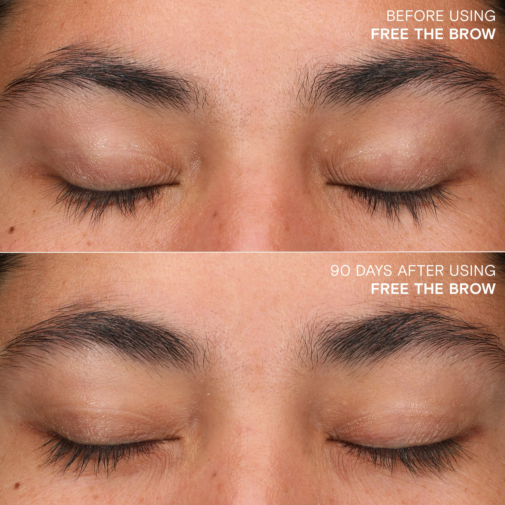 Free The Brow - Image 6